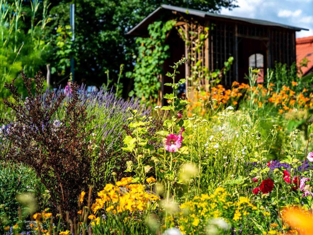 Landhotel Gut Wildberg Meißen Dış mekan fotoğraf
