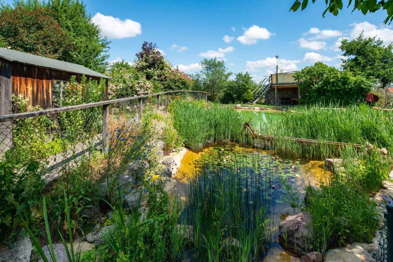 Landhotel Gut Wildberg Meißen Dış mekan fotoğraf
