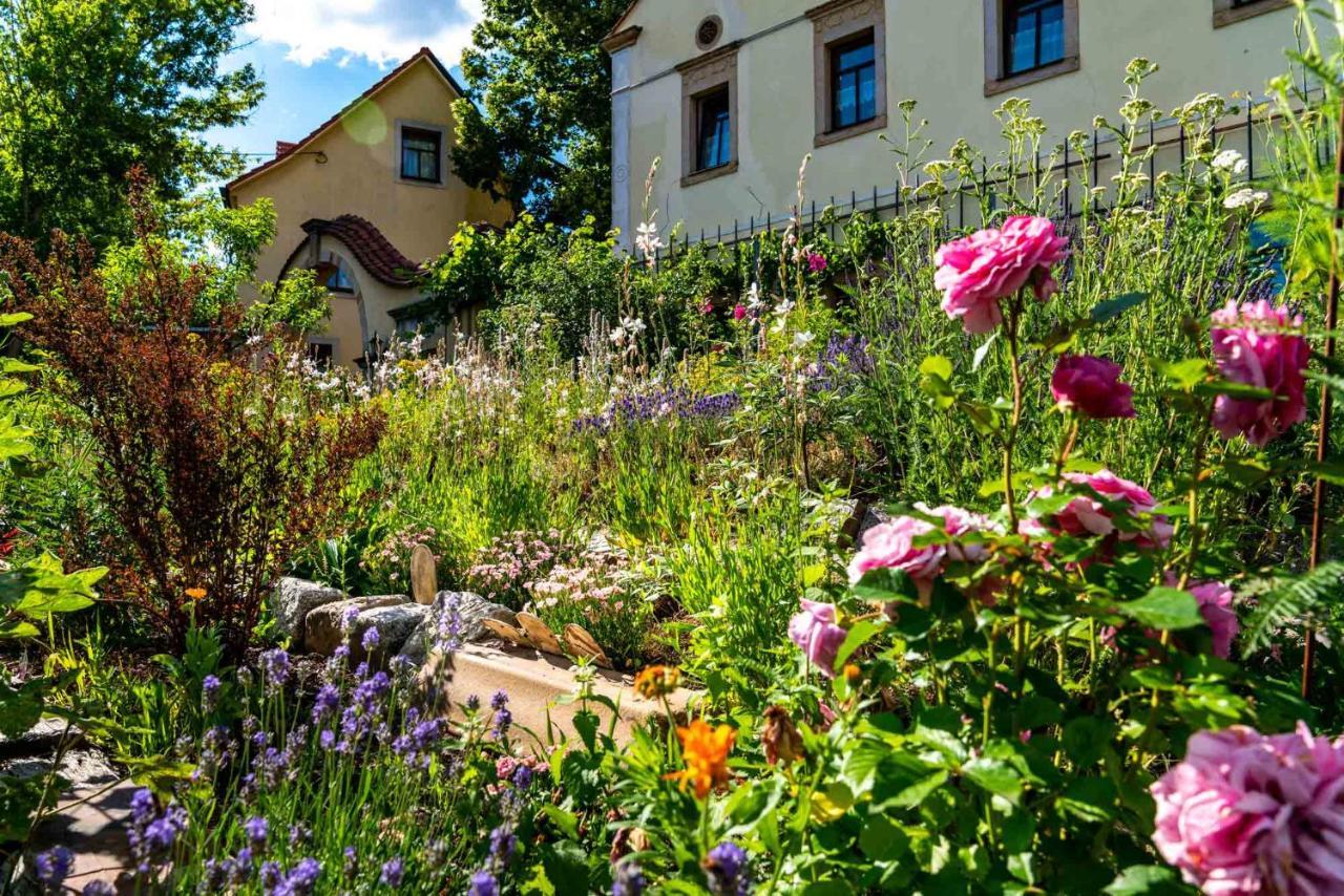 Landhotel Gut Wildberg Meißen Dış mekan fotoğraf